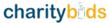 Charity Bids Adds Justin Bieber VIP Concert Meet and Greet Package to...